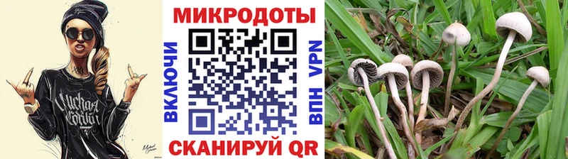 Псилоцибиновые грибы Psilocybe  мега ONION  Аргун  наркота 
