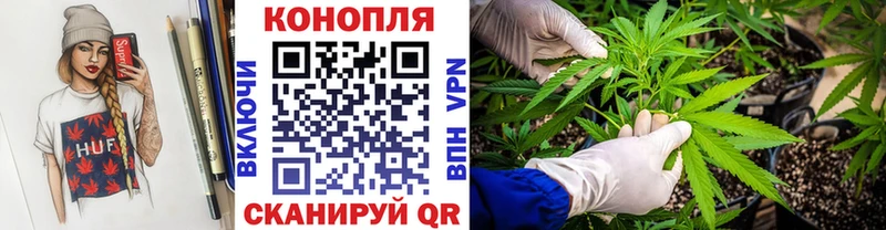сколько стоит  Аргун  Каннабис семена 